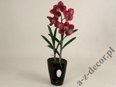 Orchidea Vanda w doniczce bordowa 58cm [AZ01141]