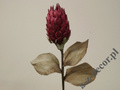 Protea Stem 88cm [AZ01701]