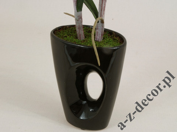 Vanda orchid in pot 58cm [AZ01141]