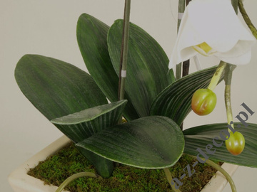 Artificial orchid spray in pot 77cm [AZ00326]