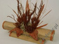Dried flowers arrangement 30x25cm [AZ00963]