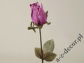 Rose 63cm [AZ01682]