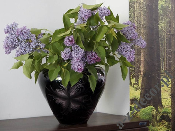 Violet ceramic vase 31cm  cm [AZ01432]