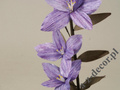 Lilia filoletowa 101cm [AZ01697]