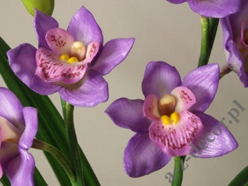 Orchidea w doniczce fioletowa 56cm [AZ01849]